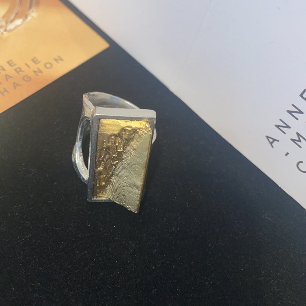 NWT Anne Marie Chagnon Pewter-22 Carat Gold